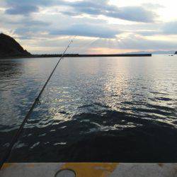 今年初の太刀魚です・・・