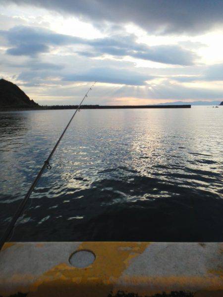 今年初の太刀魚です・・・