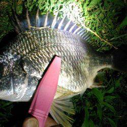 コンビナート湾奥