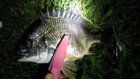 コンビナート湾奥