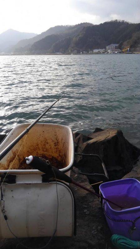 夕マズメ、チヌ釣り