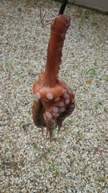 ぼくの夏休みパート2