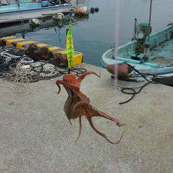 ぼくの夏休みパート3