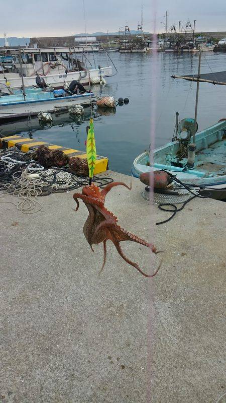 ぼくの夏休みパート3