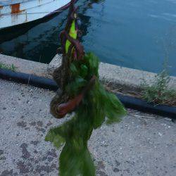 ぼくの夏休みパート6