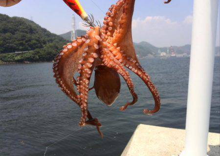 タコ釣りランガン