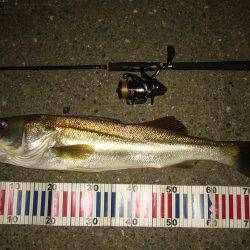 チニングの外道にて…(;^ω^)