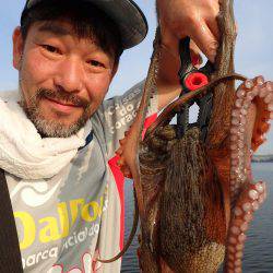 五目タコエギdeタコ