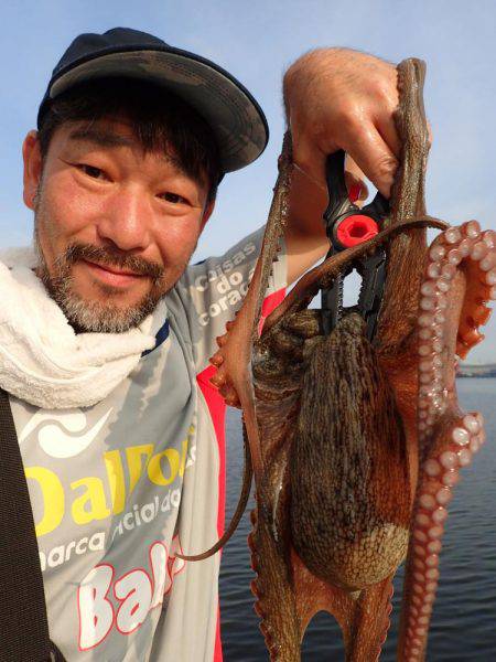 五目タコエギdeタコ