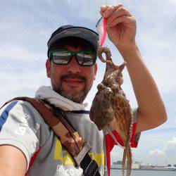 五目タコエギｄｅタコ