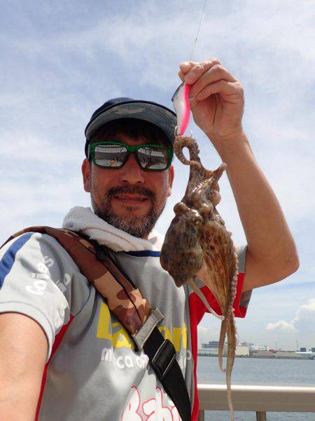 五目タコエギｄｅタコ