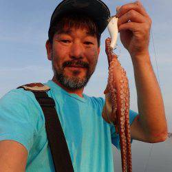 五目タコエギｄｅタコ