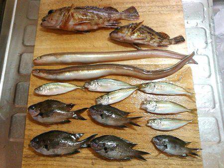 夕方ファミリーフィッシング