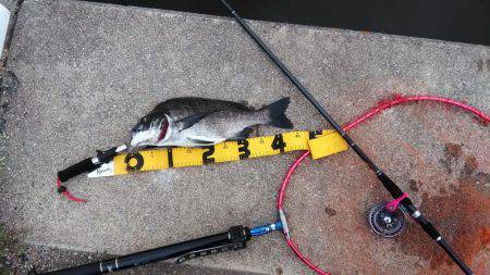 夜勤明けに岸黒ゲーム☆