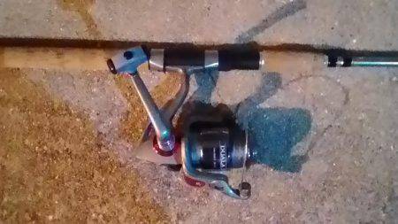 貝塚人工島で青物ゲット!!