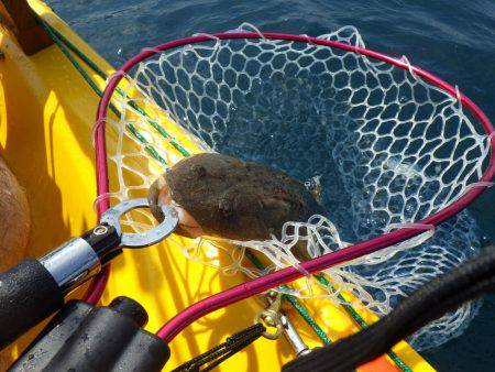 マイカヤック 五目ジギング
