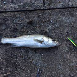 中山川河口にて