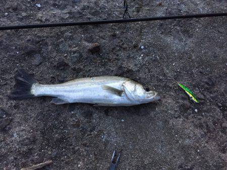 中山川河口にて