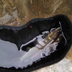 上桂川花背地区