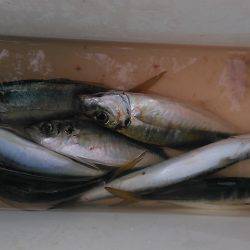 底でバチ喰っとるで