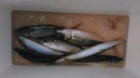 底でバチ喰っとるで