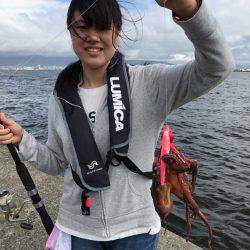 サバ祭り時々タコ