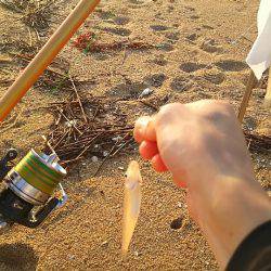 キス釣りに行ったら色々起こった