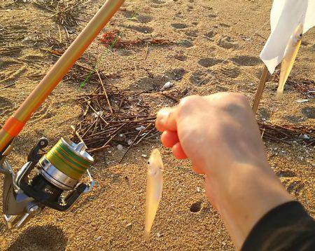 キス釣りに行ったら色々起こった