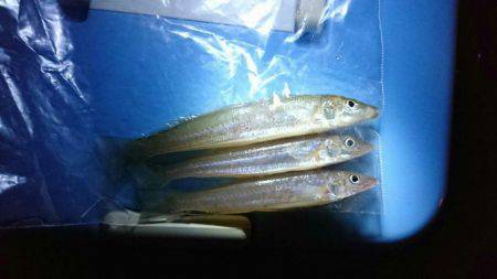 宮津でキッシング