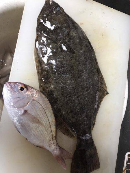 ねこまたぎ？！