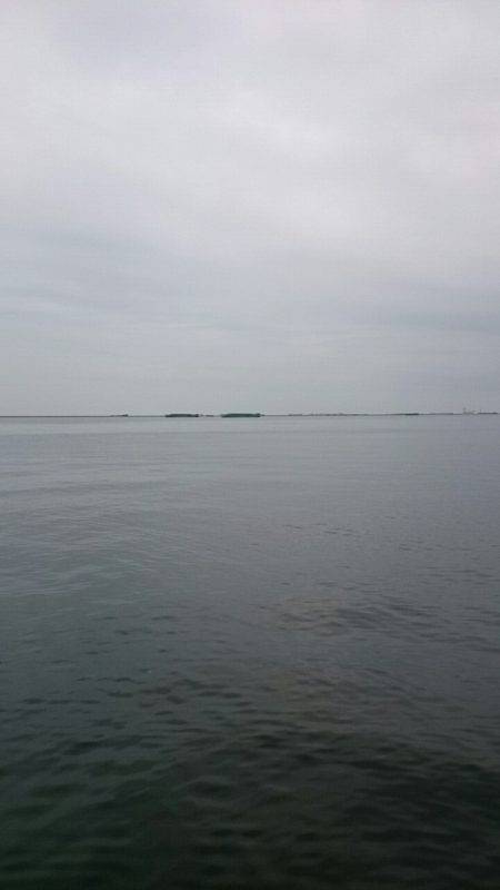 もうツバスは居ないの？