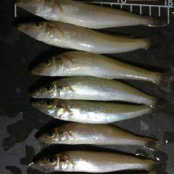 暑い１日だった