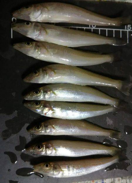 暑い１日だった