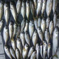 仕事帰りに軽く