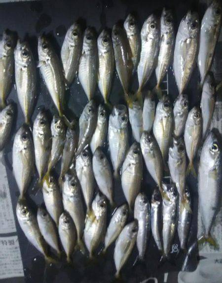 仕事帰りに軽く