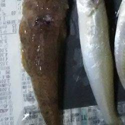 お昼から夕方まで