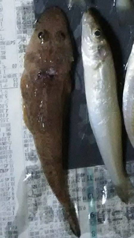 お昼から夕方まで