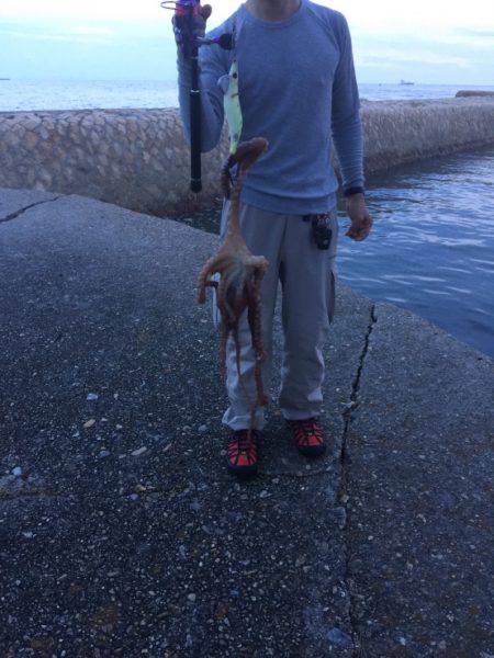 キスは釣れずタコが釣れた
