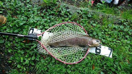 朽木渓流魚センタールアーフィールド。