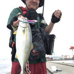 ポーアイ沖堤防に行ってきました‼