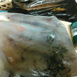 メタルが流される