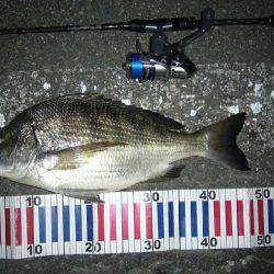 チニング( ´∀｀ )b