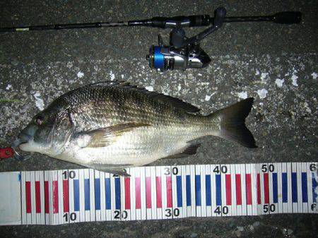 チニング( ´∀｀ )b