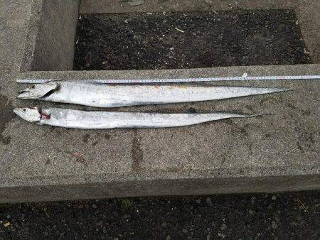 夏タチ　開幕♪