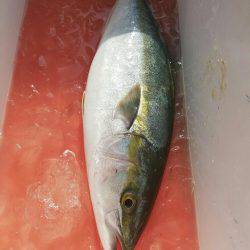 ショアジギング