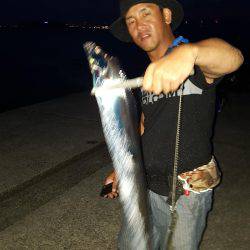 神戸沖堤タチウオワイド‼