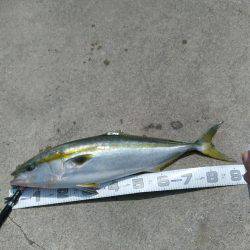 神戸渡船さんにて