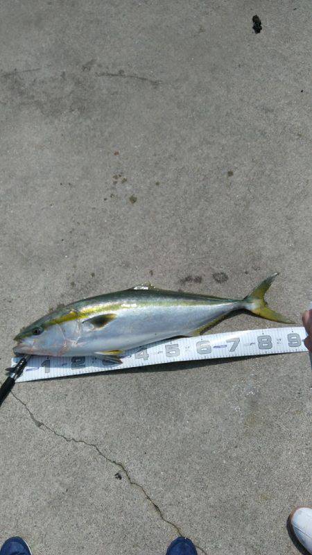 神戸渡船さんにて