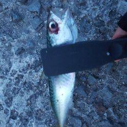 五目ならず爆風苦戦