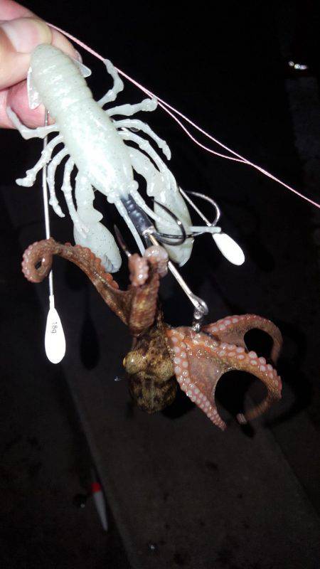 タっこでぇ〰すぅ‼